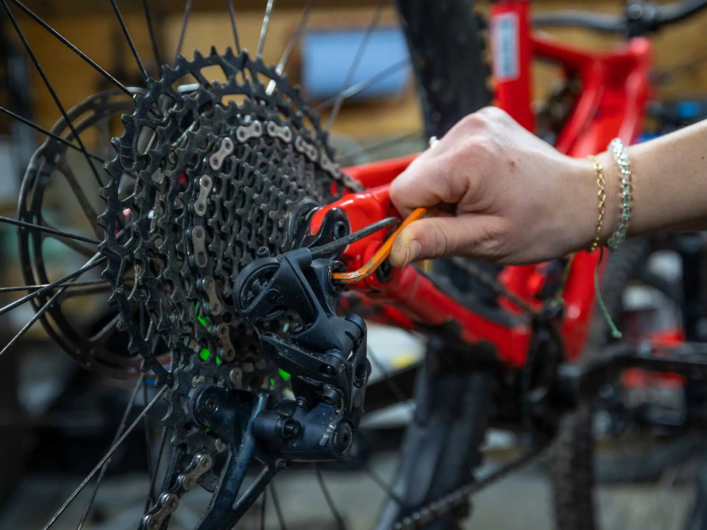 Bike Maintenance Tips: Keep Your Ride in Top Shape – Chain Reaction Bicycles